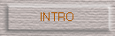 INTRO